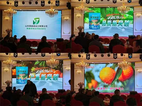 灞变笢鑻卞枂杩涘嚭鍙f湁闄愬叕鍙?.jpg 灞变笢鑻卞枂杩涘嚭鍙f湁闄愬叕鍙?.jpg
